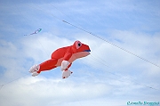 RIMINI 2012 - 284